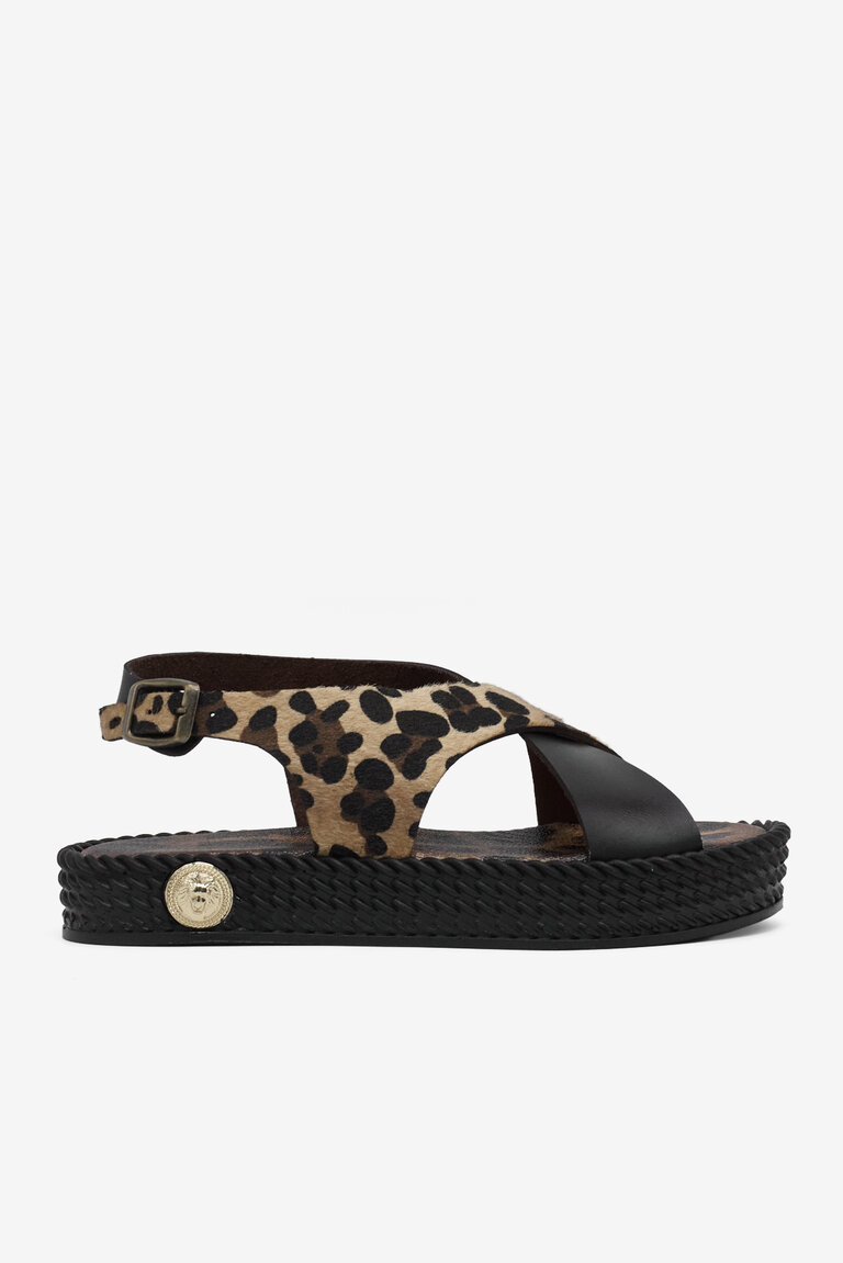 Siyah Leopar